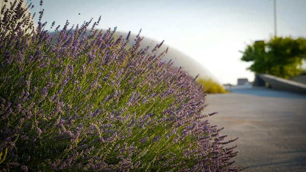 Dépannages à annecy : trouvez le plombier qu'il vous faut