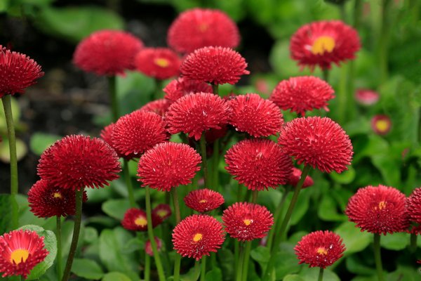 Services professionnels de ravalement à marseille pour votre maison